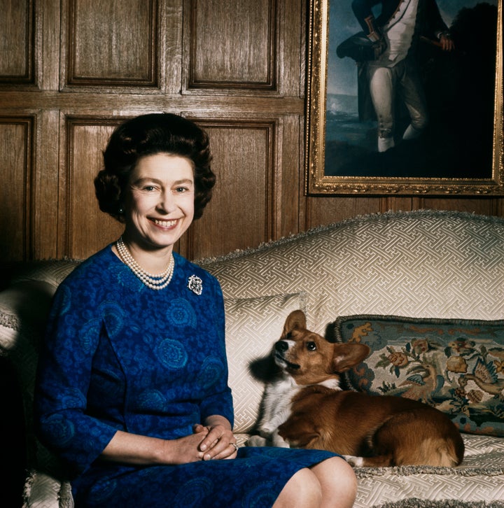 Queen Elizabeth II with one of her corgis at Sandringham, 1970. (Fox Photos/Hulton Archive/Getty Images)