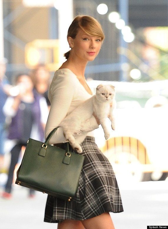 Taylor Swift's cat Olivia Benson