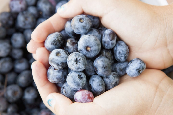 Girl cupping blueberries