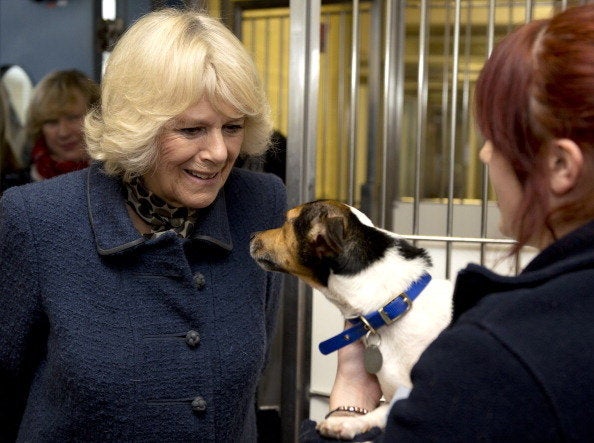 Camilla the Duchess Of Cornwall, December 2012