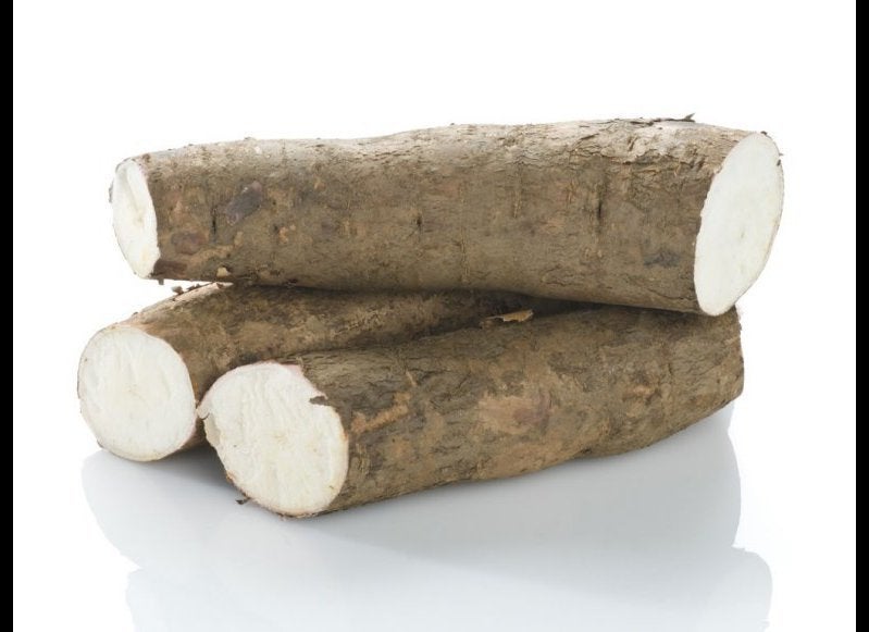 CASSAVA 