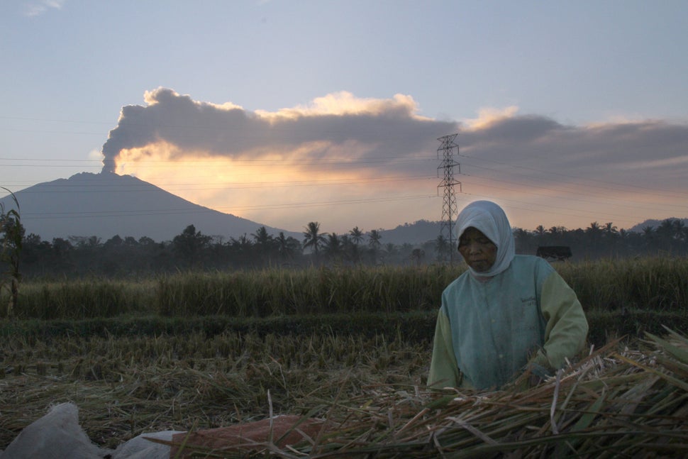 <p>An Indonesian farmer works on a farm at dawn while the 3,300-metre (10,800-foot) Mount Raung volcano emits a column of ash and steam as seen from Jember district, located in eastern Java island on July 12, 2015. Ash spewing from the Indonesian volcano closed the airport again on neighbouring Bali on July 12 just a day after it reopened, causing fresh travel chaos for weary holidaymakers stranded on the resort island. AFP PHOTO (Photo credit should read STR/AFP/Getty Images)</p>