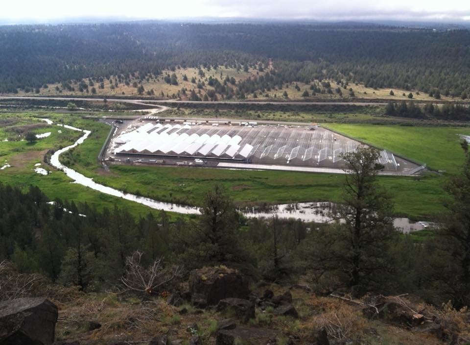 The Pit River Tribe's XL Ranch marijuana grow operation, as seen from a hill above the facilities. Below is the Pit River, an