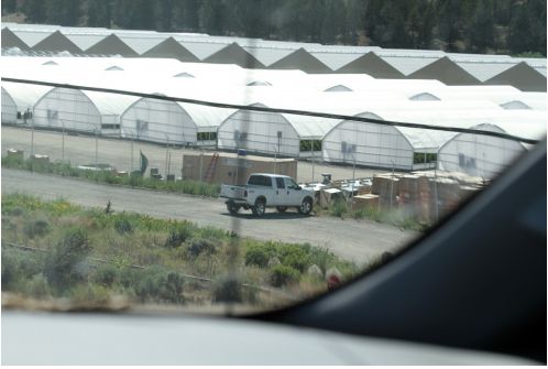 <p>The Pit River Tribe's XL Ranch facilities were situated in plain view of Highway 395. Special Agent Charles Turner took this surveillance photo on June 19, 2015.</p>