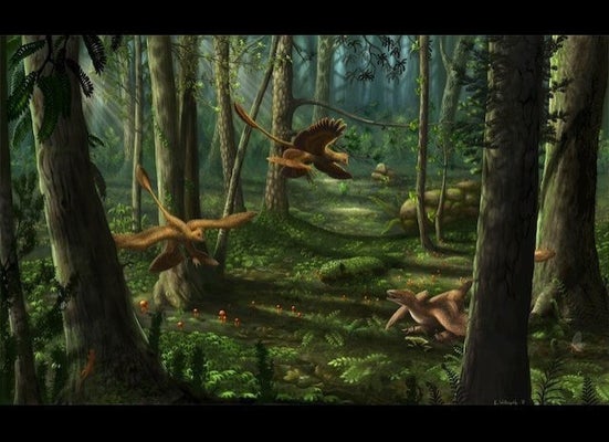 Jet-Size Pterosaurs Took Off from Prehistoric Runways