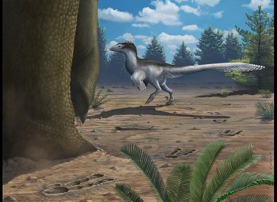 Jet-Size Pterosaurs Took Off from Prehistoric Runways