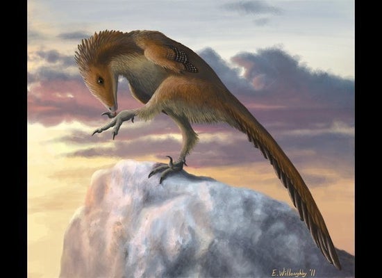 Jet-Size Pterosaurs Took Off from Prehistoric Runways