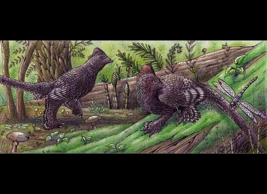 Jet-Size Pterosaurs Took Off from Prehistoric Runways