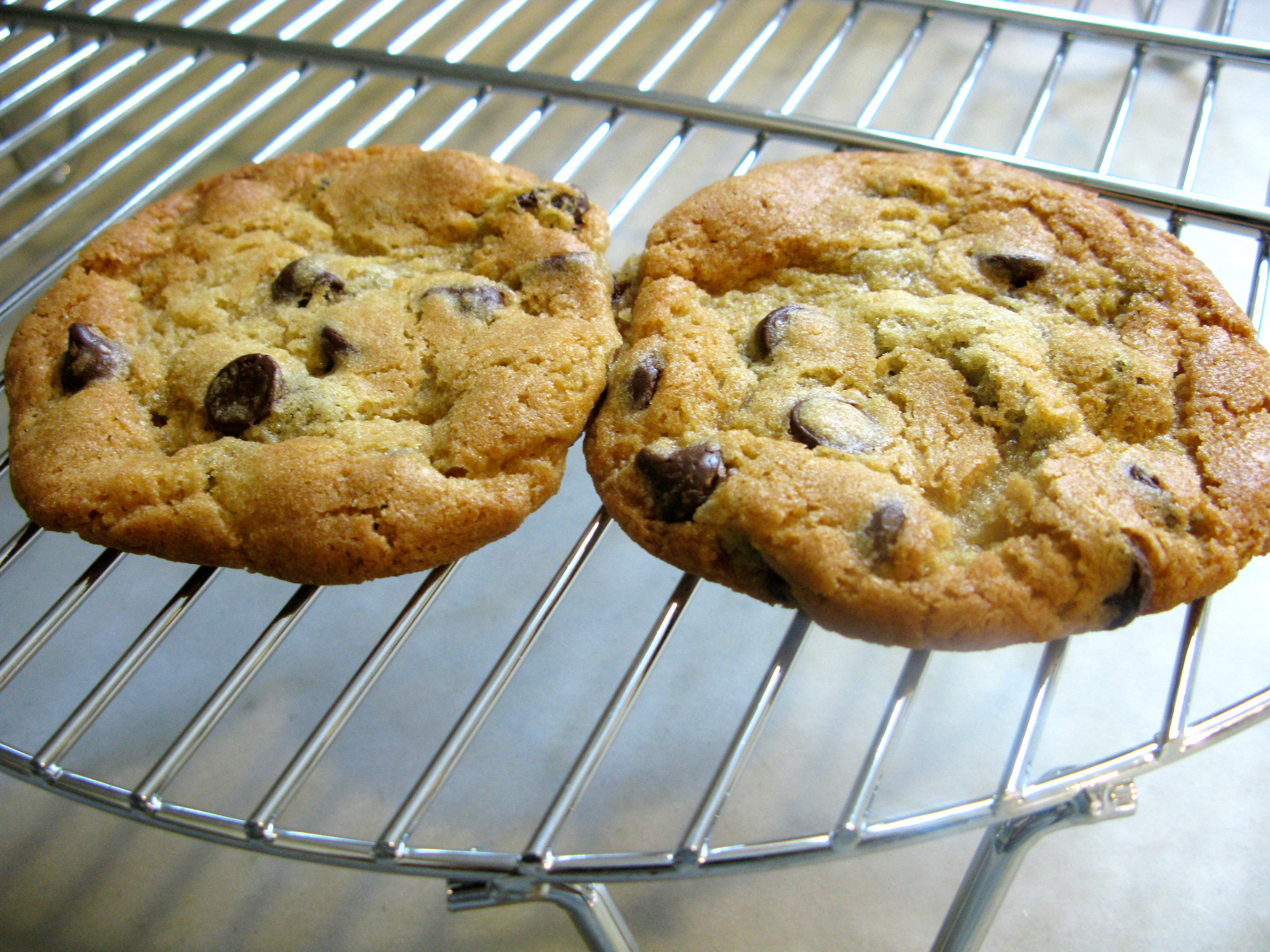 Science Has Determined The Most Perfect Chocolate Chip Cookie Recipe ...