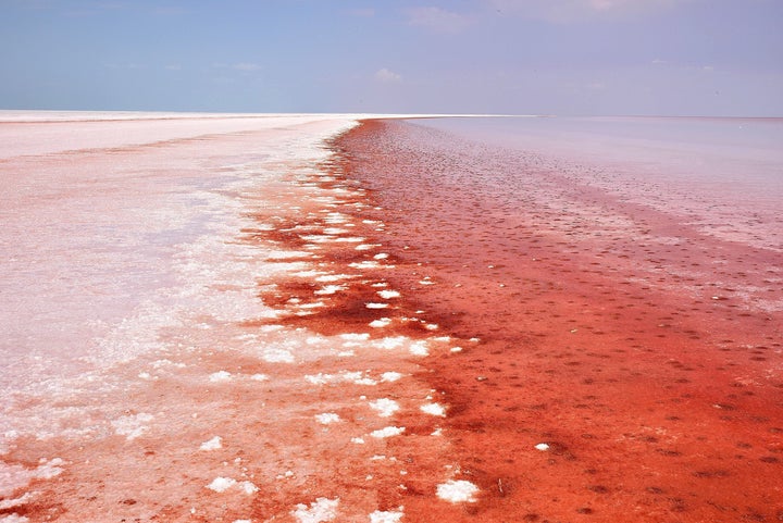 An algae bloom has turned Turkey's Tuz Golu lake a bright reddish color.