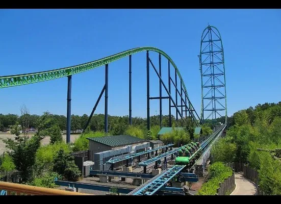 Bird Slams Into Man s Face In Bloody Roller Coaster Accident