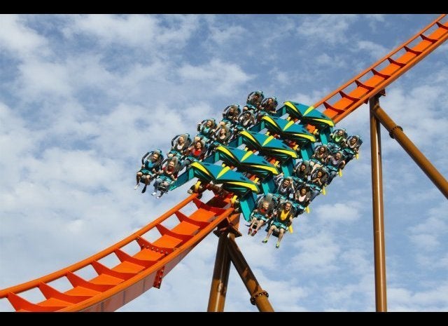 Bird Slams Into Man s Face In Bloody Roller Coaster Accident