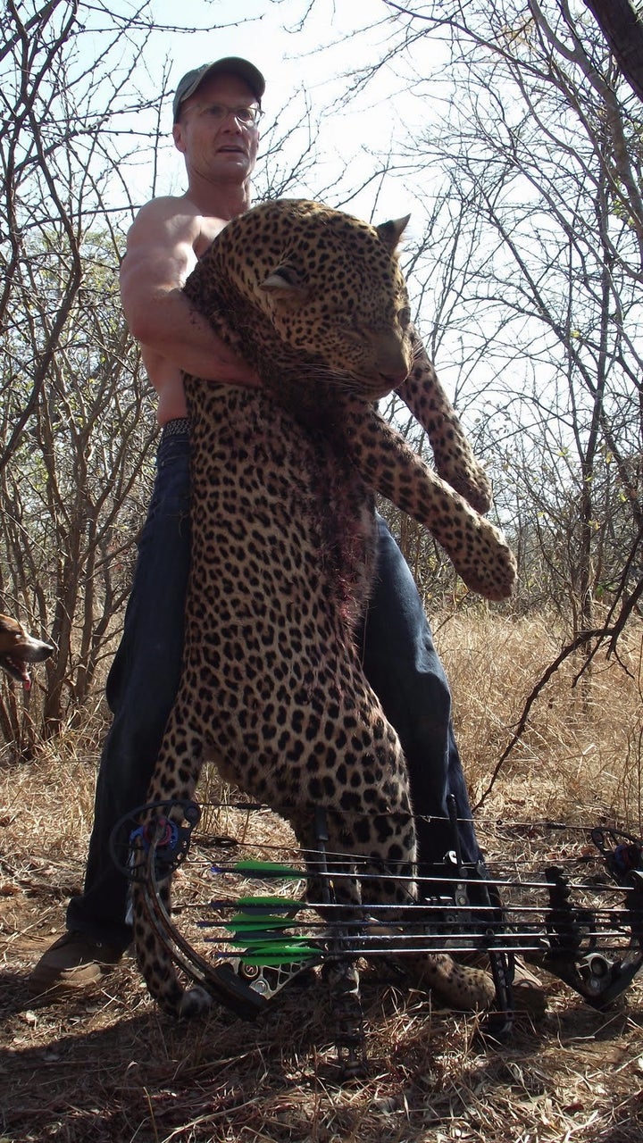 <p>Walter Palmer is seen in this undated photo with a leopard in Zimbabwe.</p>