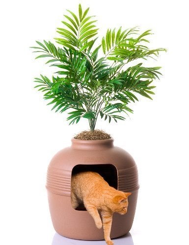 Camouflage cat shop litter box