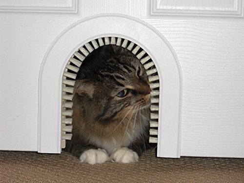 Camouflage cat outlet litter box