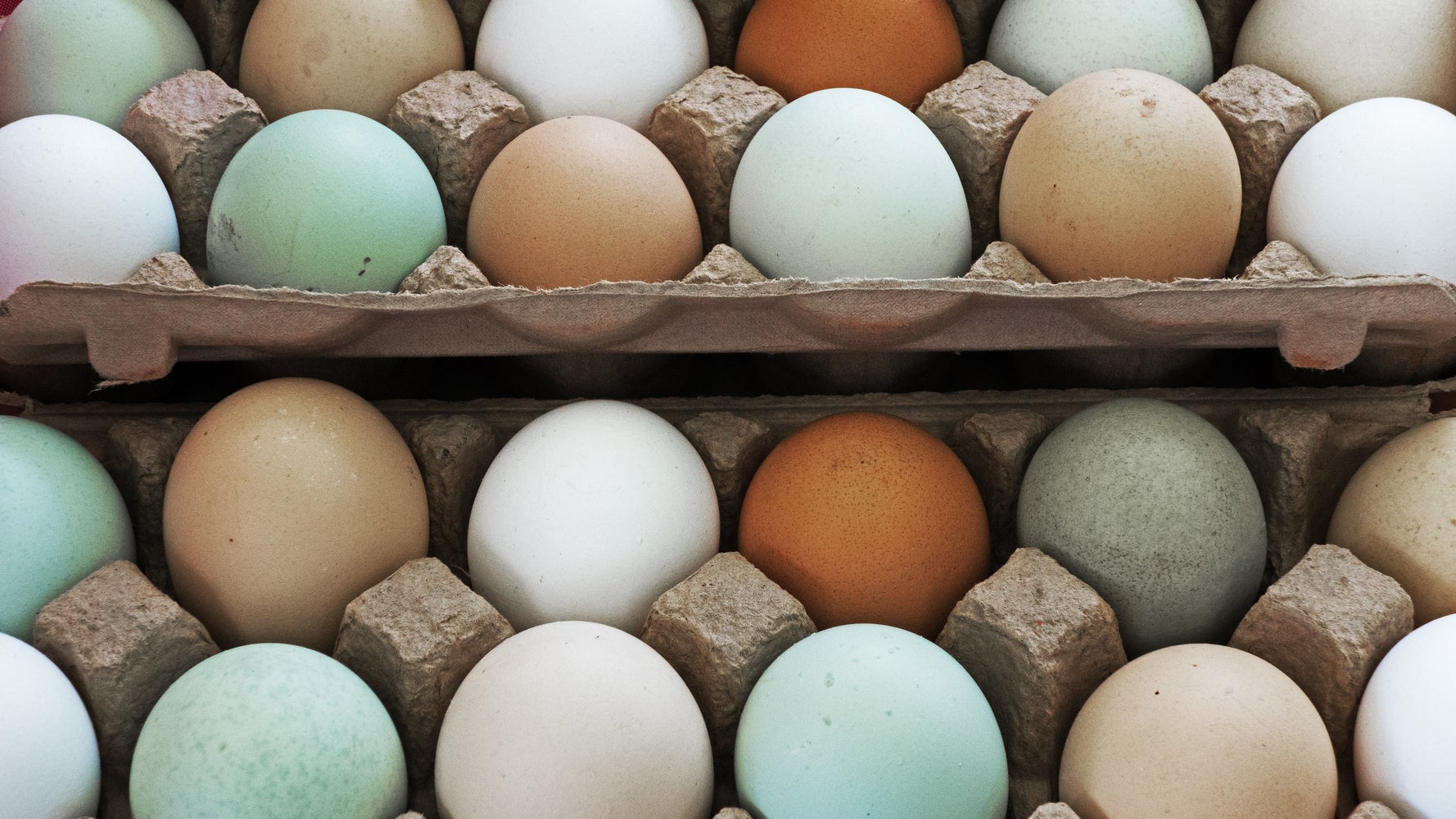 Are Farmers Market Eggs Really Worth It, And Do They Taste Better