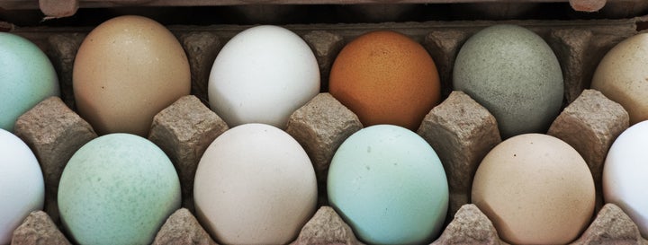 Happier, healthier chickens often make eggs that taste better than those from factory farms.