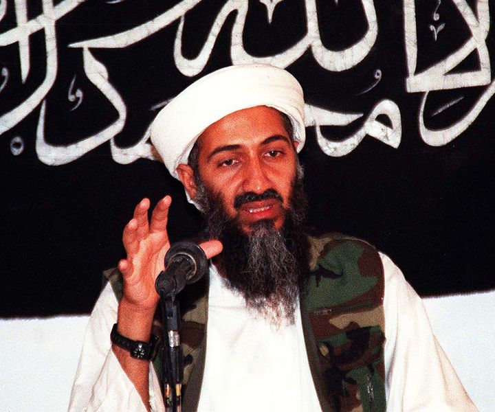 Several family members of the Osama Bin Laden, the deceased former al Qaeda leader, were reportedly killed in a plane crash in Britain.