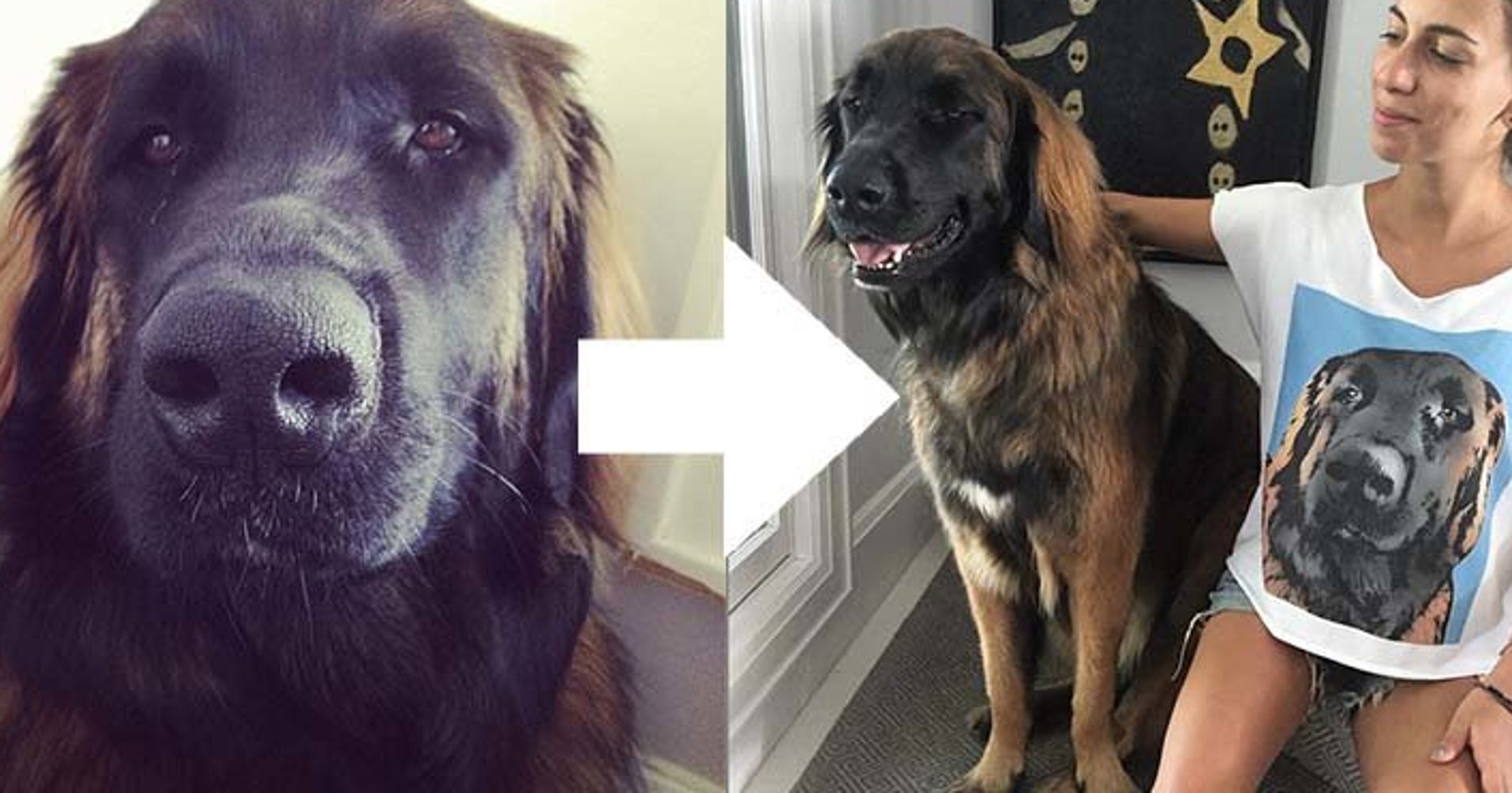 I Got My Dog S Face Printed On A T Shirt And So Can You