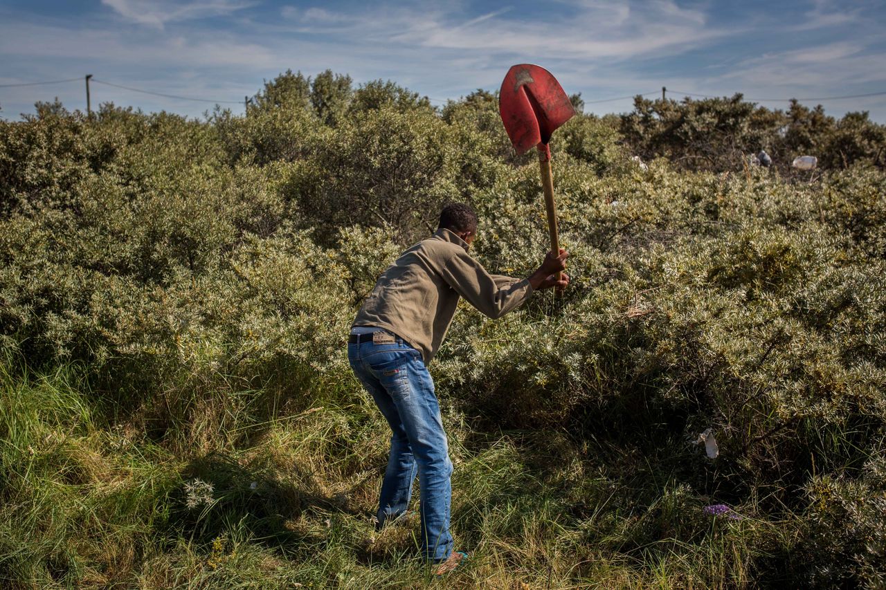 An Ethiopian man clears an area of shrubbery to make space for a tent in a makeshift camp near the port of Calais on Aug. 2, 2015. 