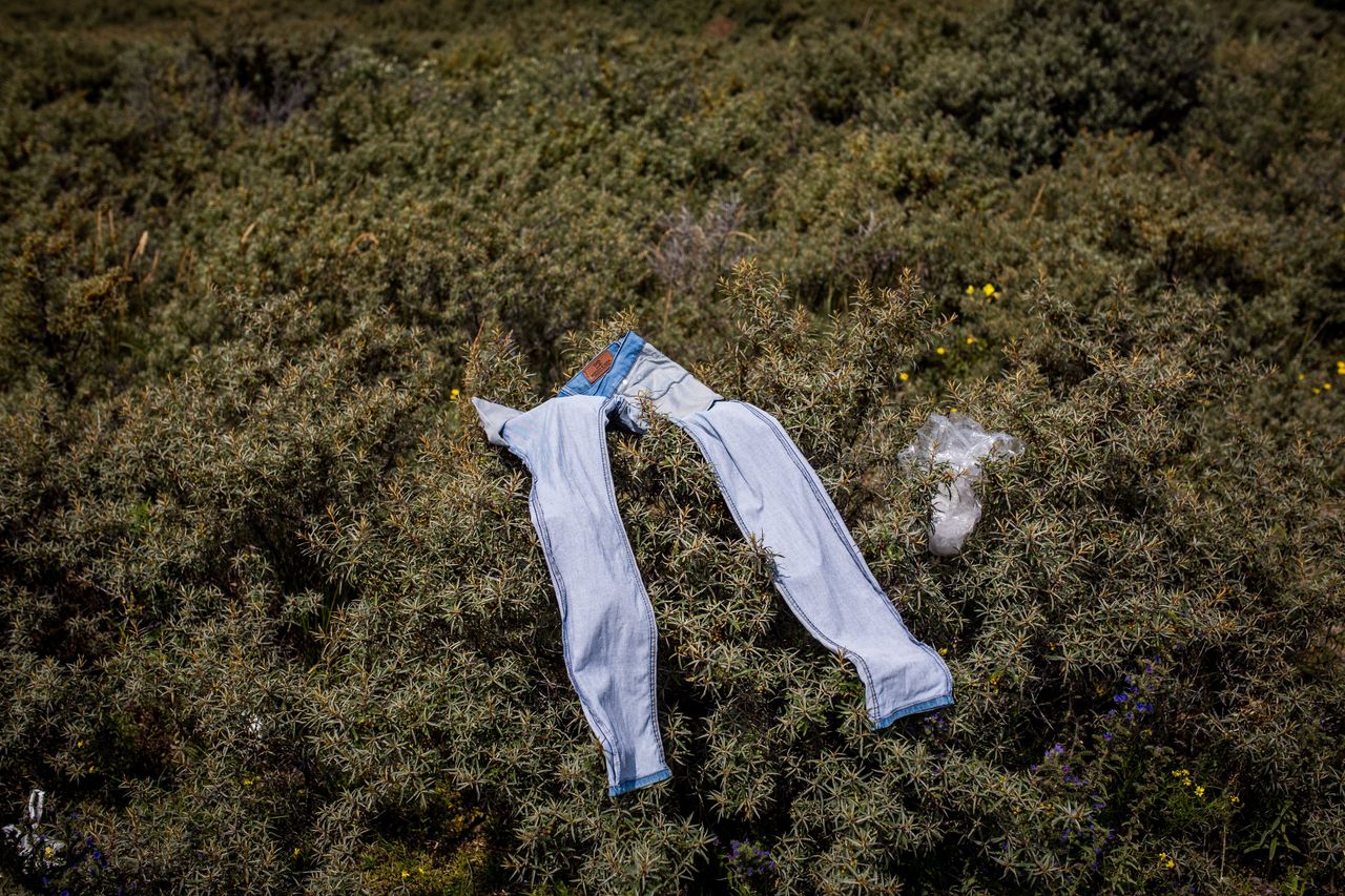 A pair of trousers are laid out to dry on bushes in a makeshift camp near the port of Calais on July 31, 2015.