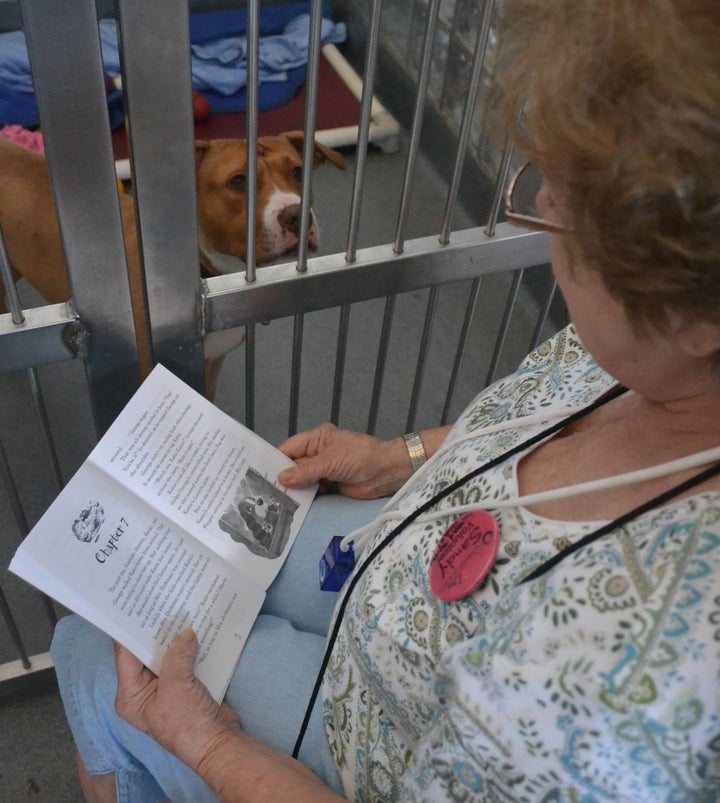 Sandy Barbabella reads to dogs at her local shelter every week.