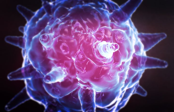<p>The herpes virus. </p>