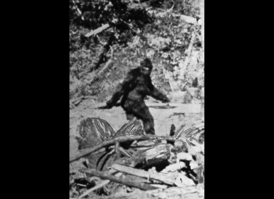 KUOW - Did you know?: Why you shouldn't mess with Bigfoot in