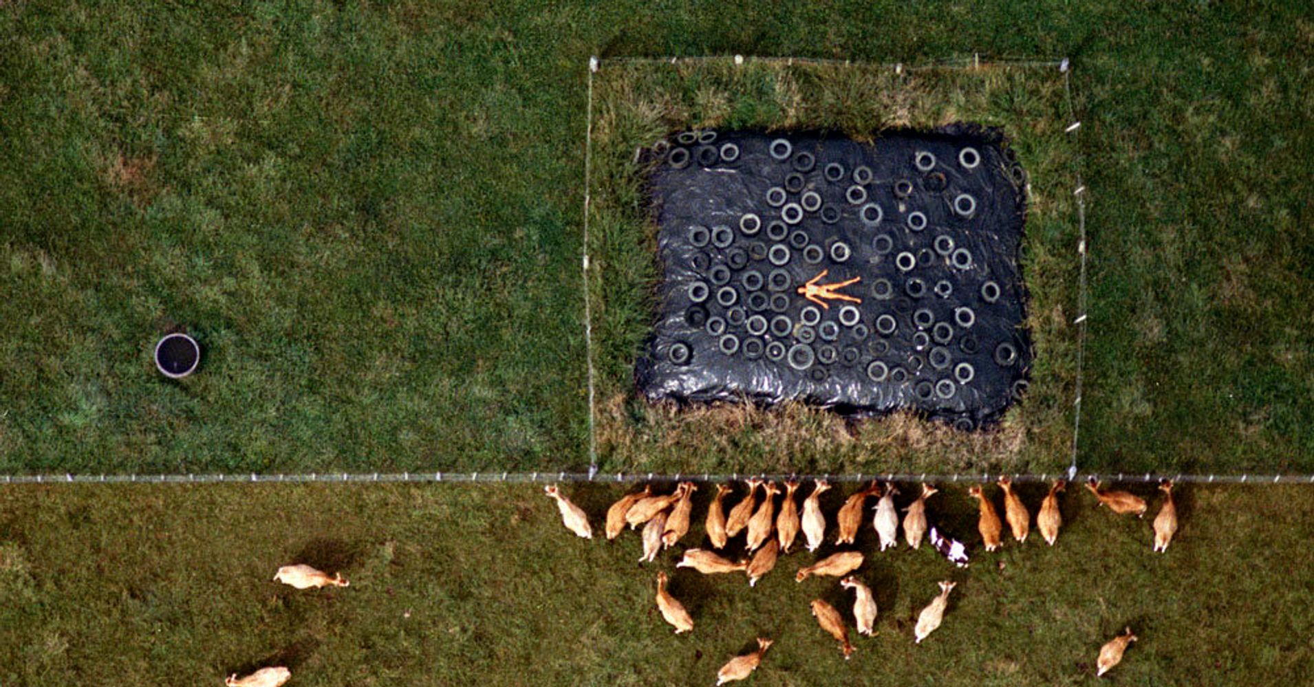 Staggering Aerial Photos Show Nude Bodies From A Birds Eye View Huffpost