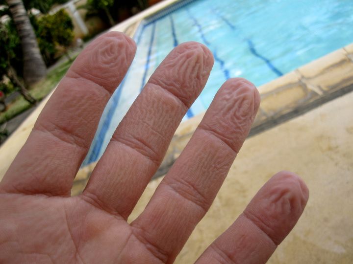 Scientists say our fingers get pruney when wet for a better grip.