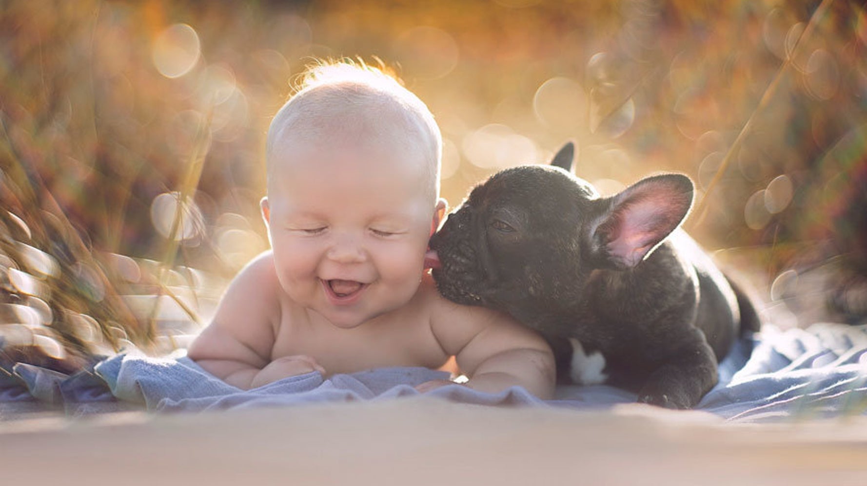 Frenchie and best sale baby