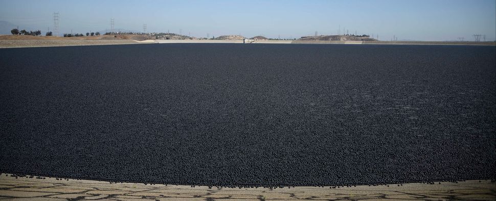 Millions Of Shade Balls Protect Las Water During Drought Huffpost 8799