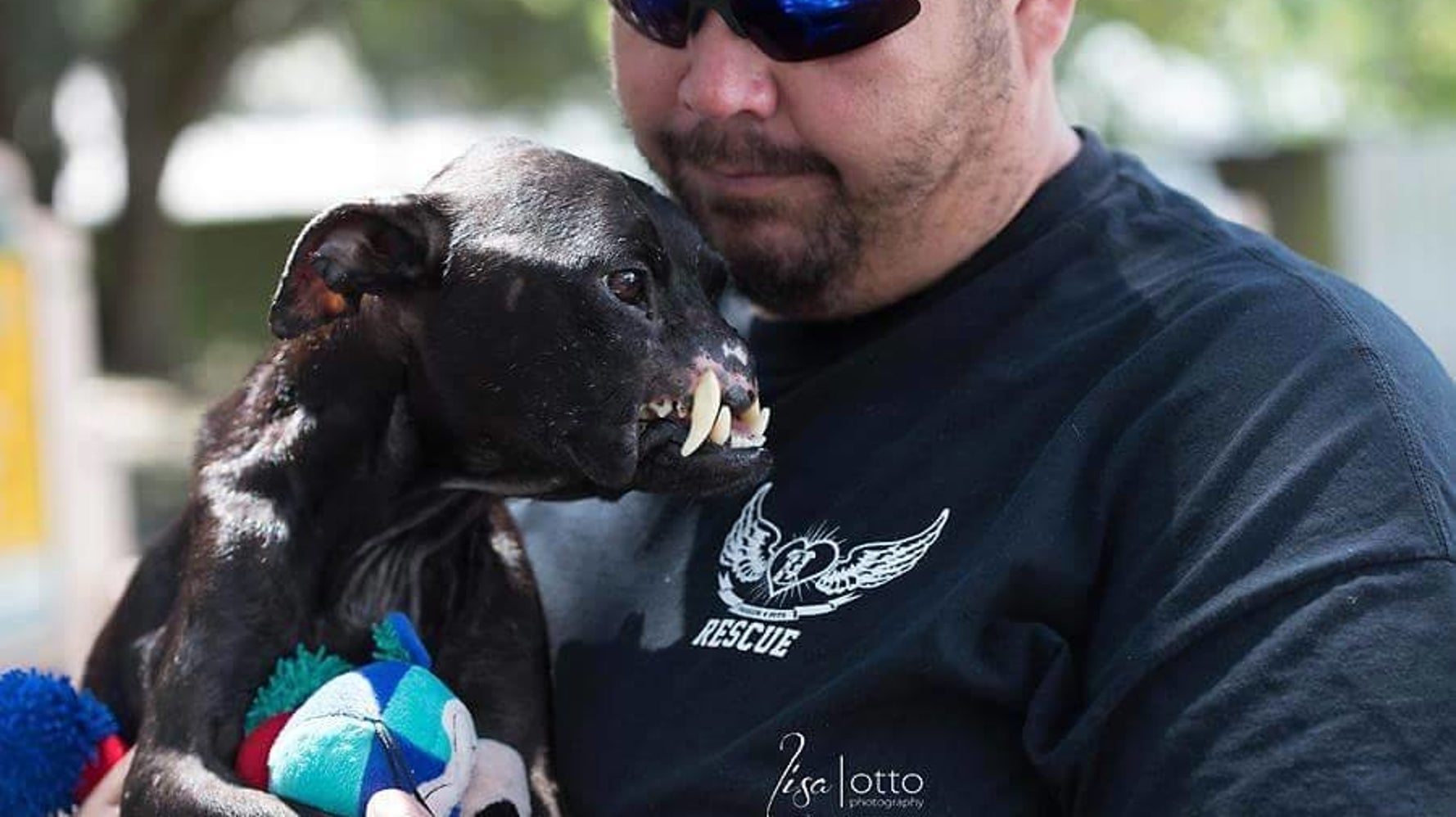 This Pit Bull Has Half A Face, And All The Love In The World ...