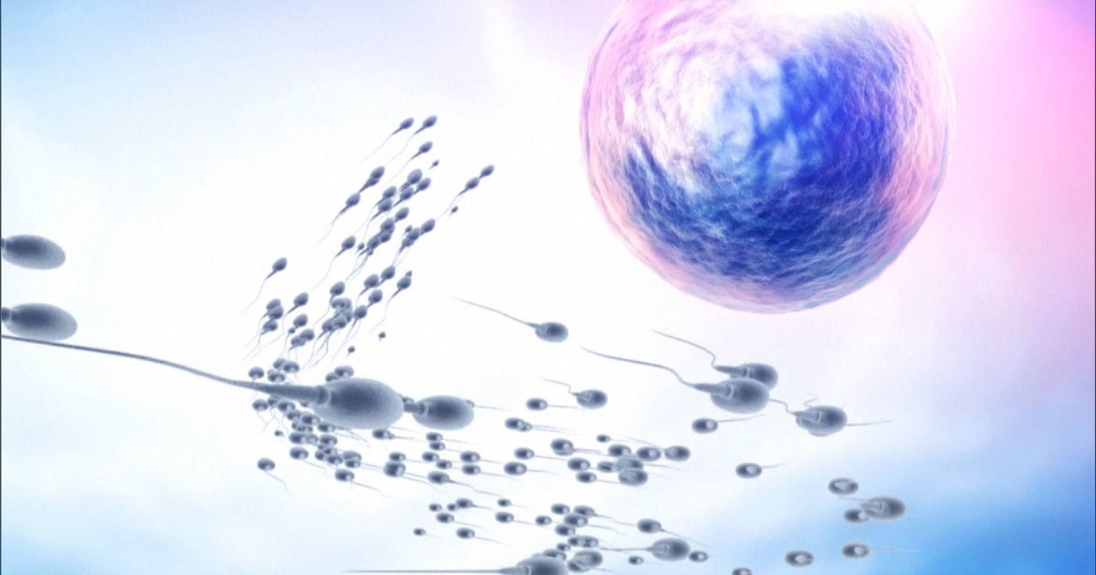 How A Vasectomy Can Fail HuffPost Entertainment