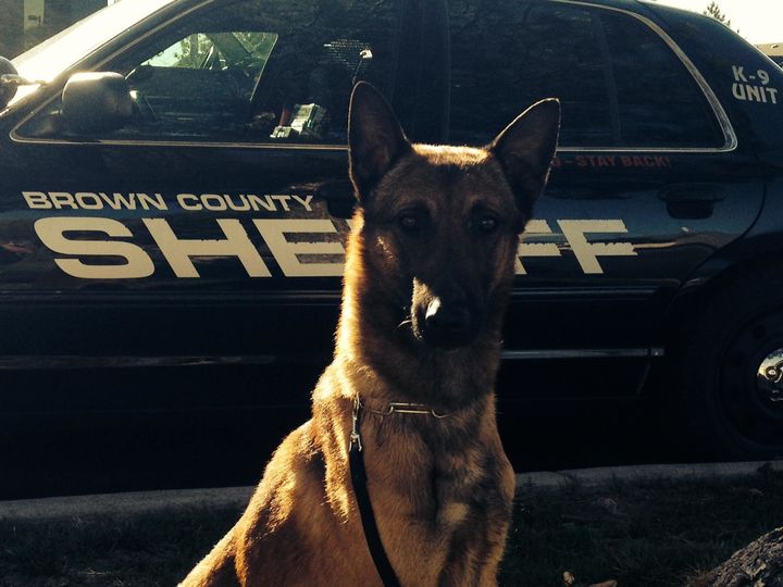 Wix, the 3-year-old K-9 who died in Wisconsin this week after being left in a squad car. 