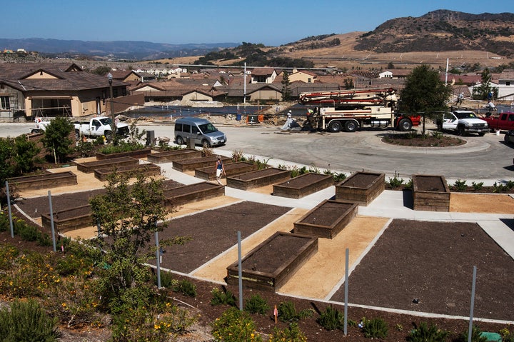 A community garden is in the works at Rancho Mission Viejo on June 25, 2104 in San Juan Capistrano, California. Rancho Mission Viejo is a suburban development that follows the rough model of an 'agrihood.' The development includes backyard gardens, community gardens and a one-acre resident organic farm. (Photo by Gina Ferazzi/Los Angeles Times via Getty Images)