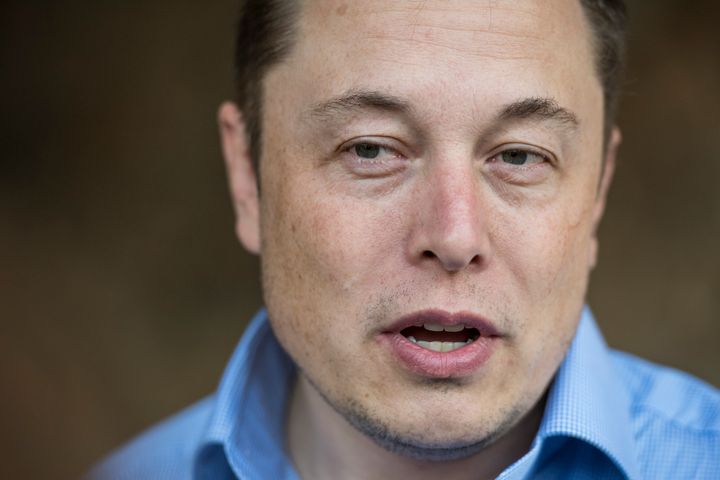 <p>Tesla CEO Elon Musk is seen in an undated photo.</p>