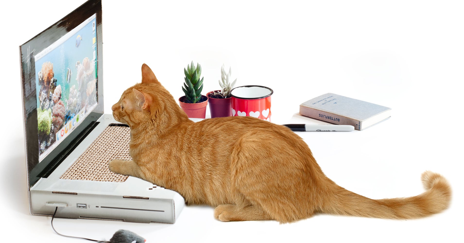 'Cat Scratch Laptop' Is The Purrfect Toy For Kitties Who Perch On Your