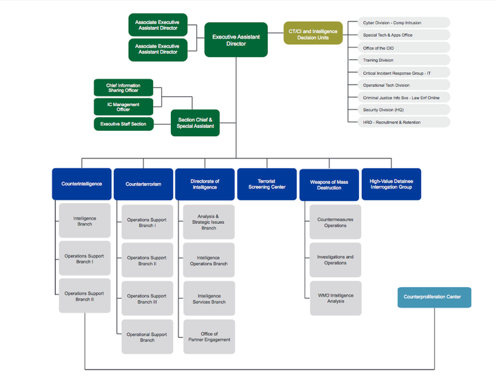 In an organizational bureau flowchart, the High Value Detainee Interrogation Group, or HIG, is a separate, internal agency within the FBI, housed directly under the office of the Executive Assistant Director.