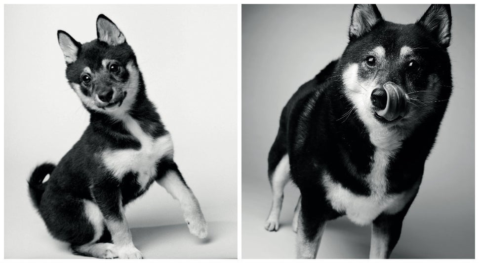Left: Abigale at 4 months old. Right: Abigale at 8 years old. 