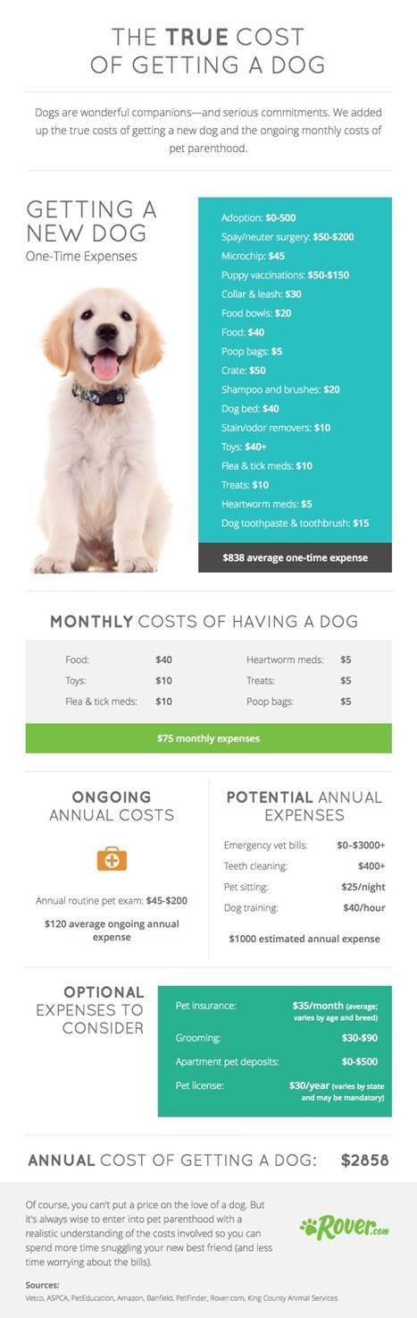 Average annual cost of owning store a dog