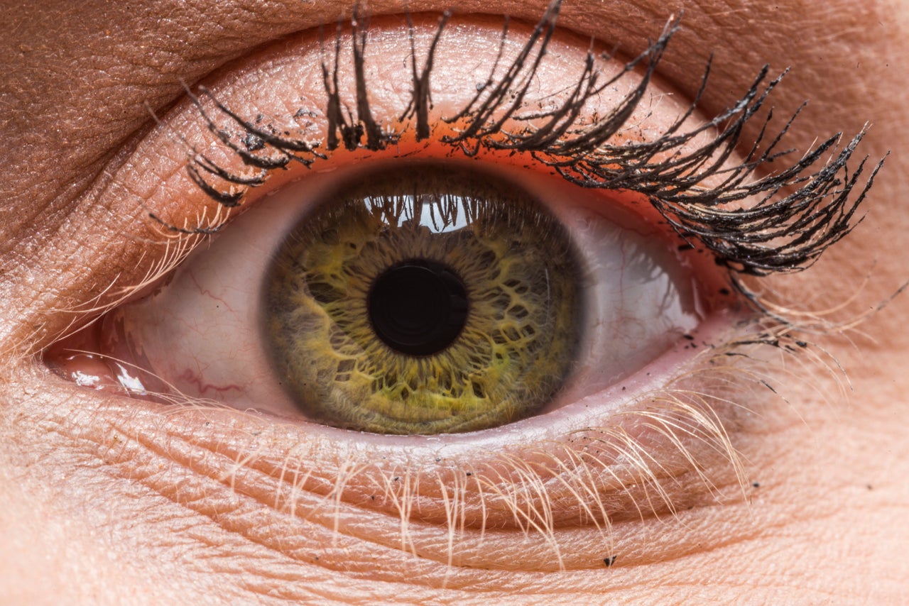 <p><strong><span style="font-size: 14.9999990463257px;">When I look in my eye I see lots of yellow and green specks and then I start to wonder if I'm actually a cat. That would be neat. Nine lives baby!</span></strong></p>