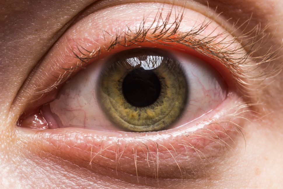 These Macro Photos Reveal The Awesome Diversity Of Human Eyes Huffpost 5147