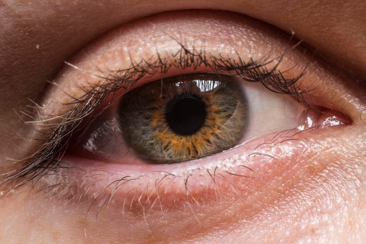 <p><strong><span style="font-size: 14.9999990463257px;">I see my pupils expanding and contracting. Sorry that's not very poetic. :/</span></strong></p>