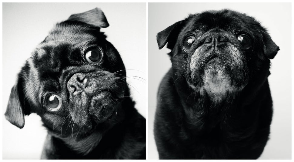 <span>Left: Fred at 2 years old. Right: Fred at 10 years old.</span>