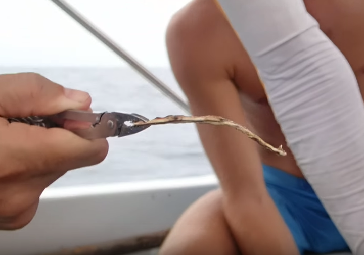 Marine Biologist Whose Video Showed Straw Being Removed From