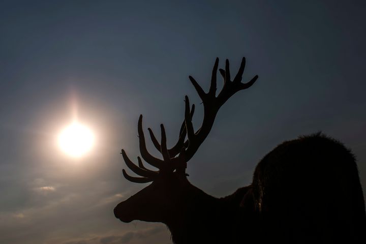 <p>July was the hottest month on record.</p>