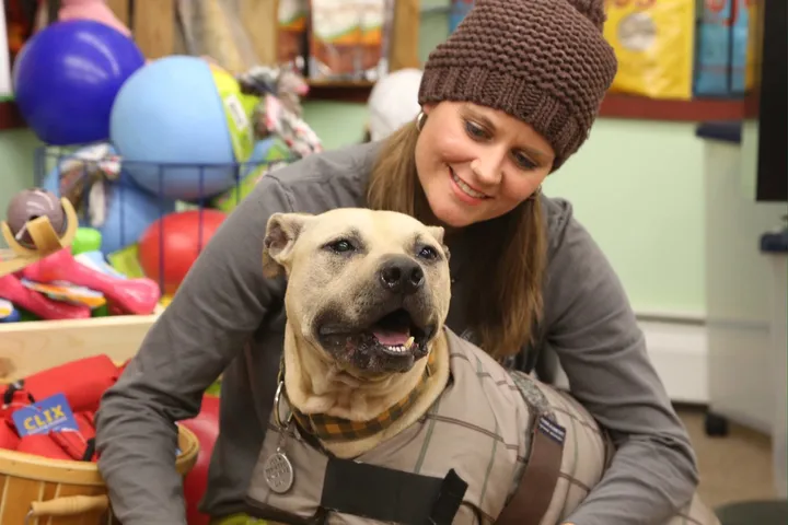 Michael Vick's dog-fighting pit bull Lucas 'who always had a smile