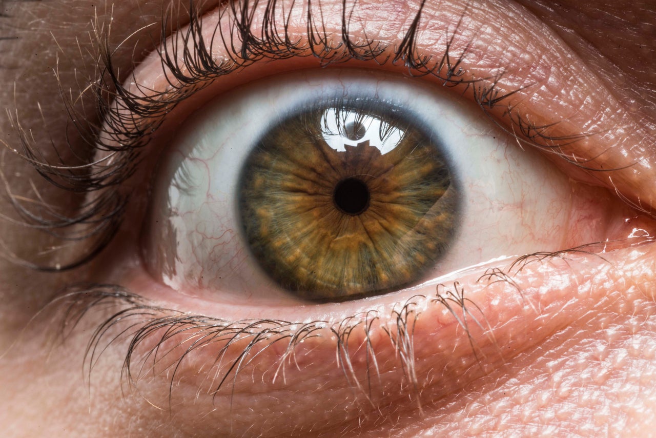 From the edges, I see dark green turning into light green. As it gets closer to the center, the green mash with the brown around my pupil. It's really cool. I like it.