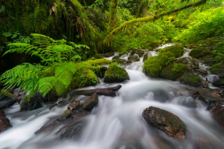 Daily Meditation: The River Is Flowing | HuffPost